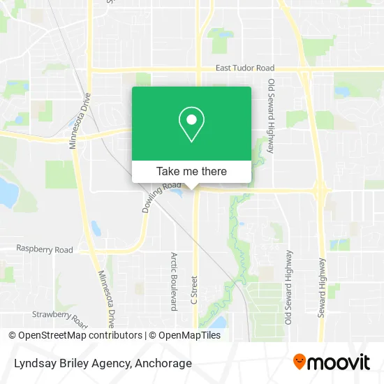 Lyndsay Briley Agency map