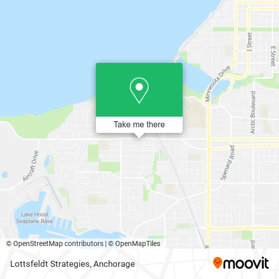 Lottsfeldt Strategies map