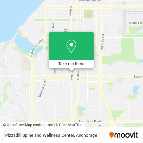 Mapa de Pizzadili Spine and Wellness Center
