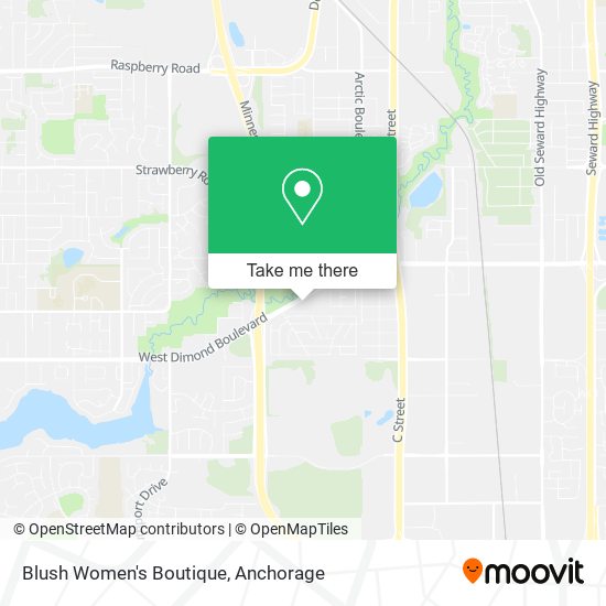 Blush Women's Boutique map