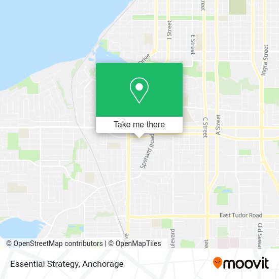 Essential Strategy map