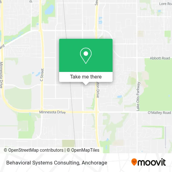 Behavioral Systems Consulting map