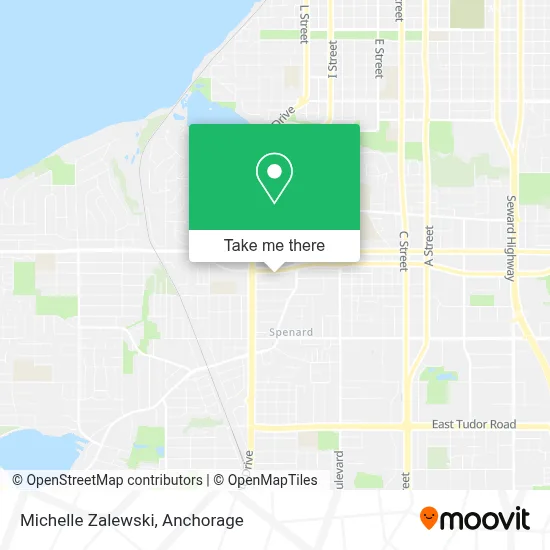 Michelle Zalewski map