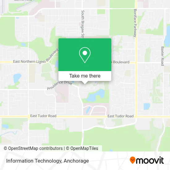 Information Technology map