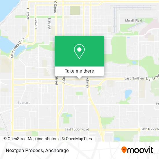 Nextgen Process map