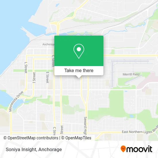 Soniya Insight map