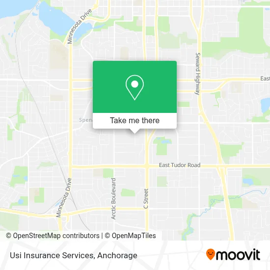 Usi Insurance Services map