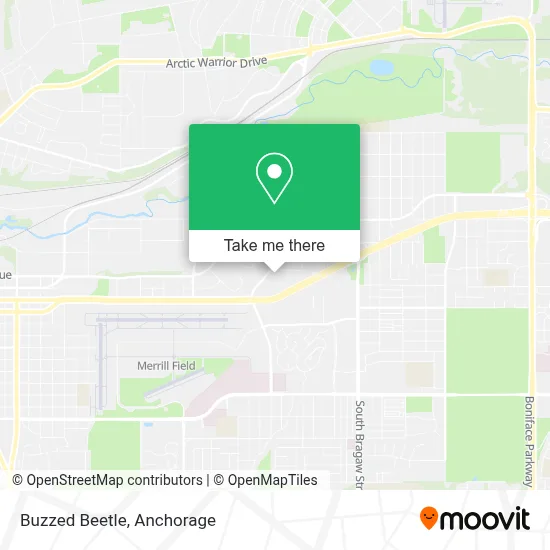 Buzzed Beetle map