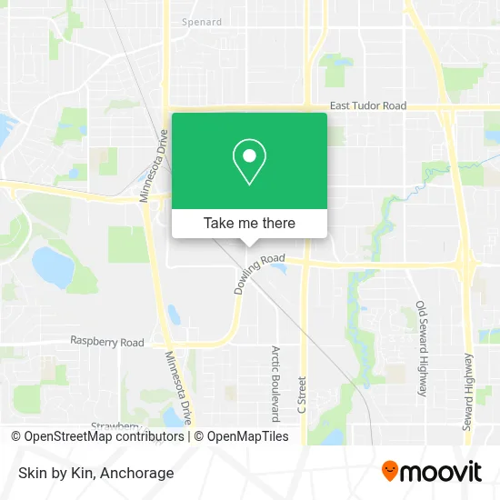Skin by Kin map