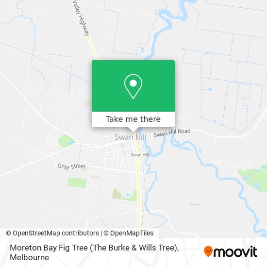 Moreton Bay Fig Tree (The Burke & Wills Tree) map