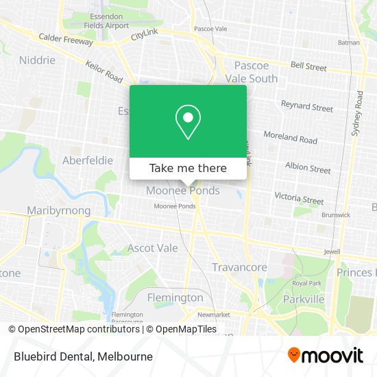 Bluebird Dental map