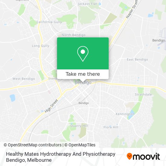 Healthy Mates Hydrotherapy And Physiotherapy Bendigo map