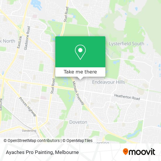 Ayaches Pro Painting map
