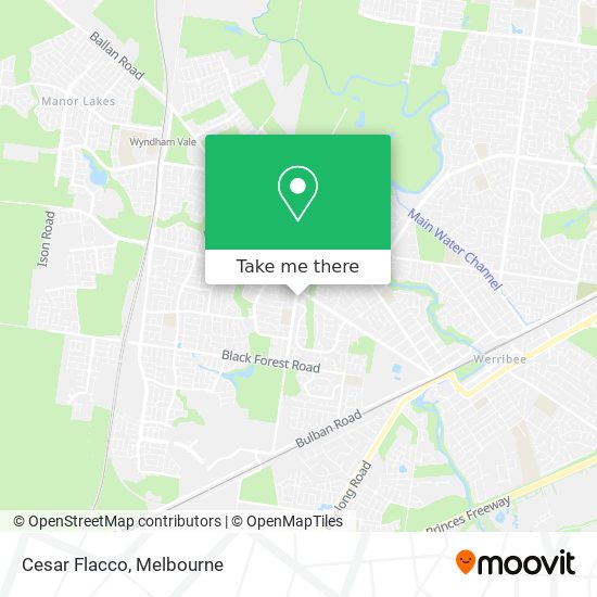 Cesar Flacco map