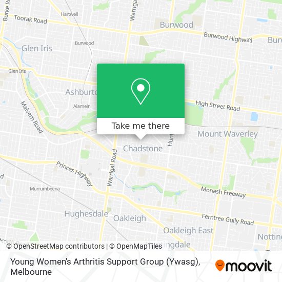 Mapa Young Women's Arthritis Support Group (Ywasg)