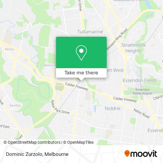 Dominic Zurzolo map