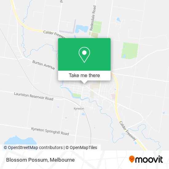 Blossom Possum map