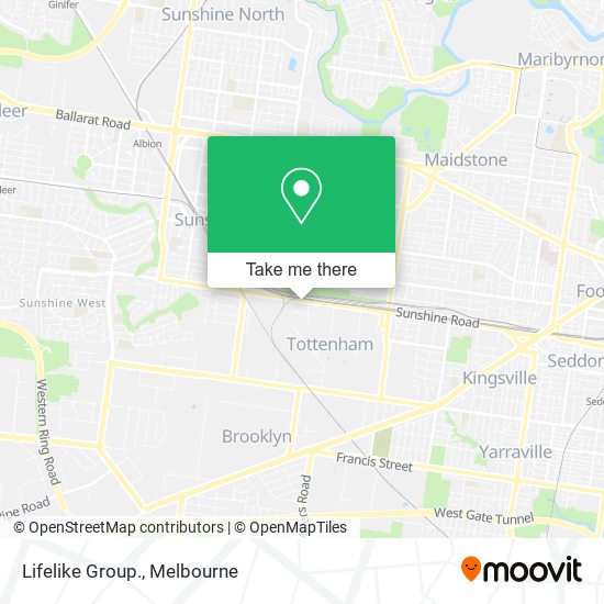 Lifelike Group. map