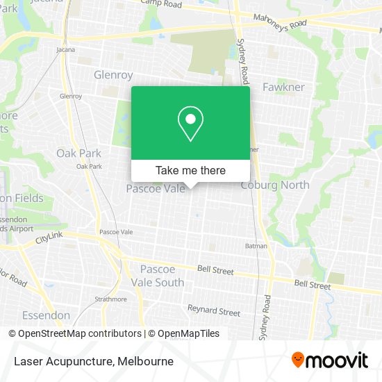 Laser Acupuncture map