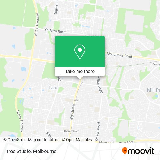 Tree Studio map
