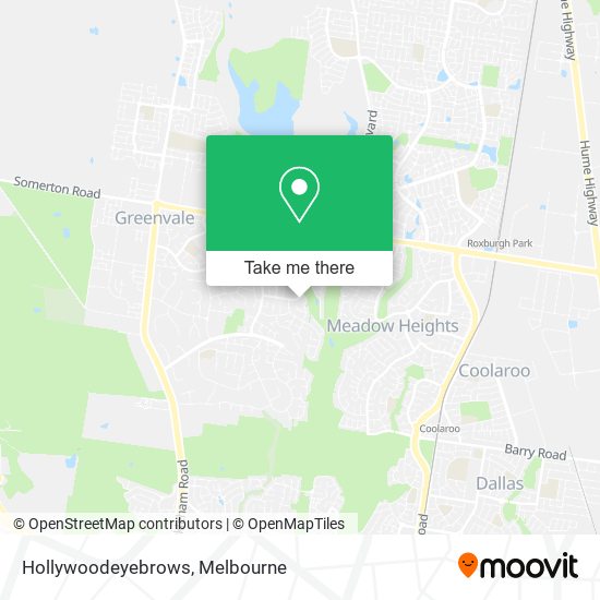 Hollywoodeyebrows map