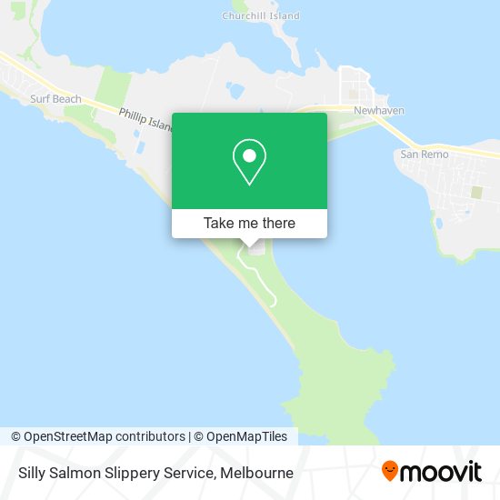 Silly Salmon Slippery Service map