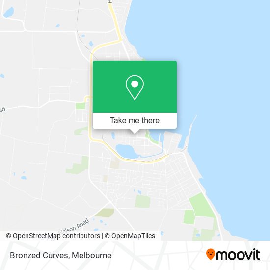 Bronzed Curves map