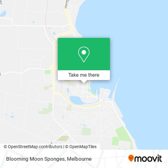 Blooming Moon Sponges map