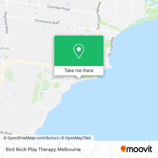 Bird Rock Play Therapy map