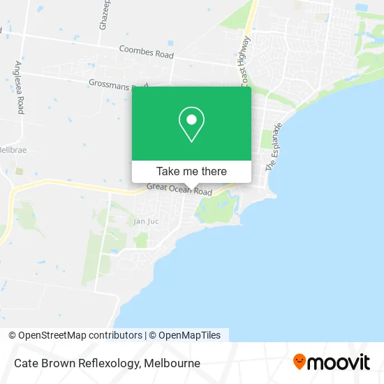 Cate Brown Reflexology map