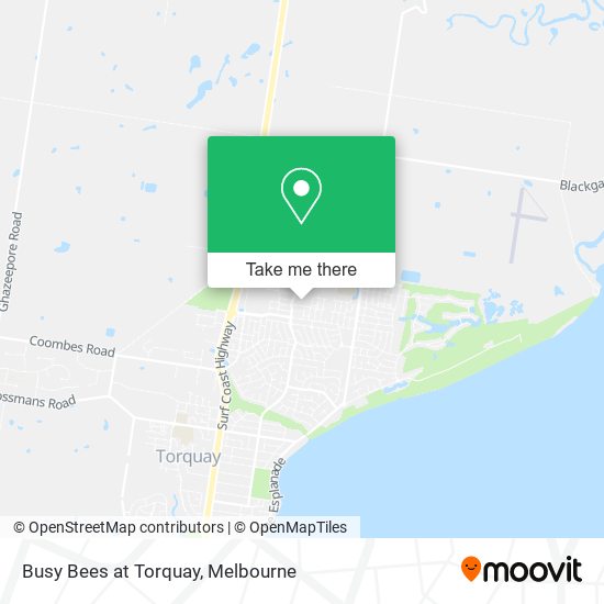 Busy Bees at Torquay map