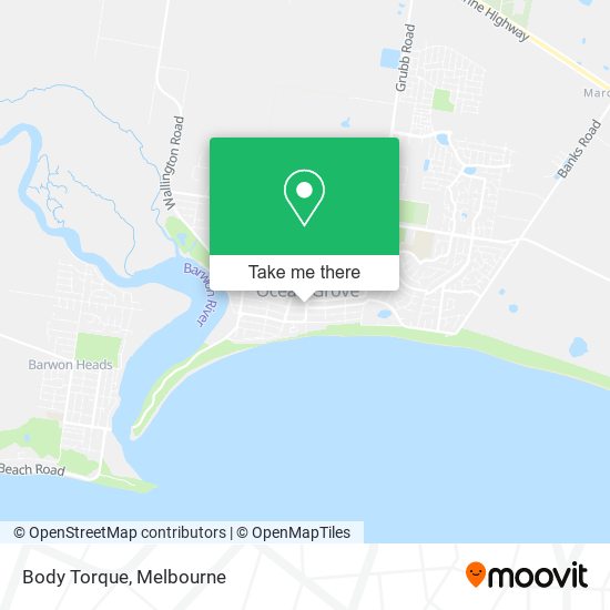 Body Torque map