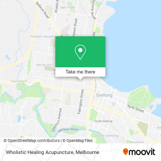 Wholistic Healing Acupuncture map