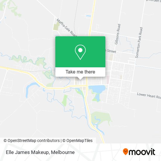 Elle James Makeup map