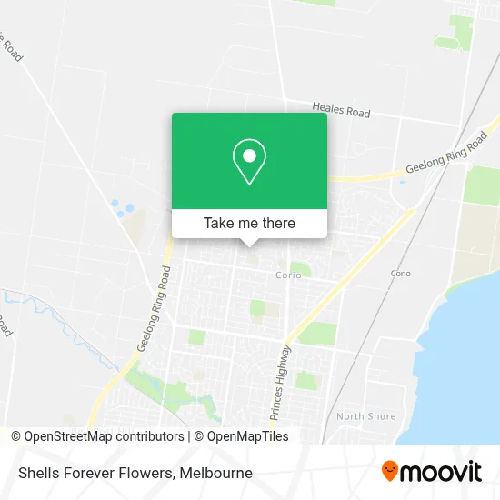 Mapa Shells Forever Flowers