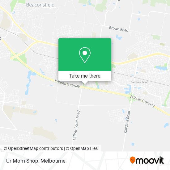 Ur Mom Shop map