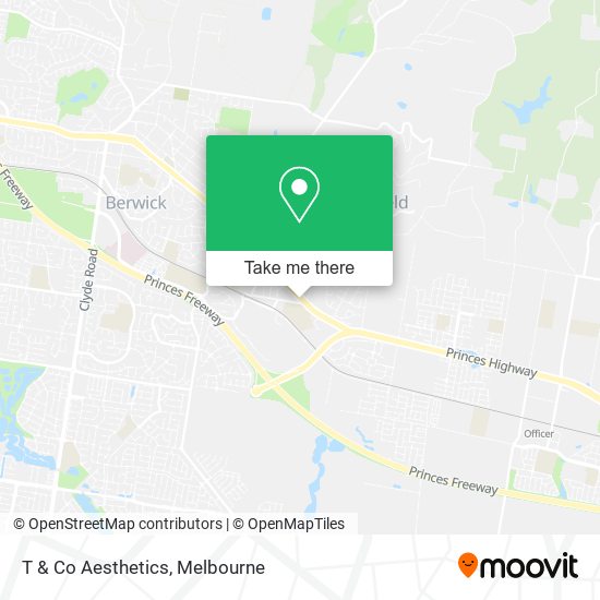 T & Co Aesthetics map