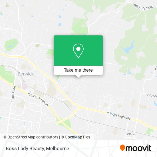 Boss Lady Beauty map