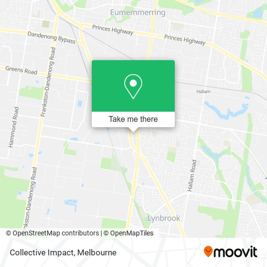 Collective Impact map