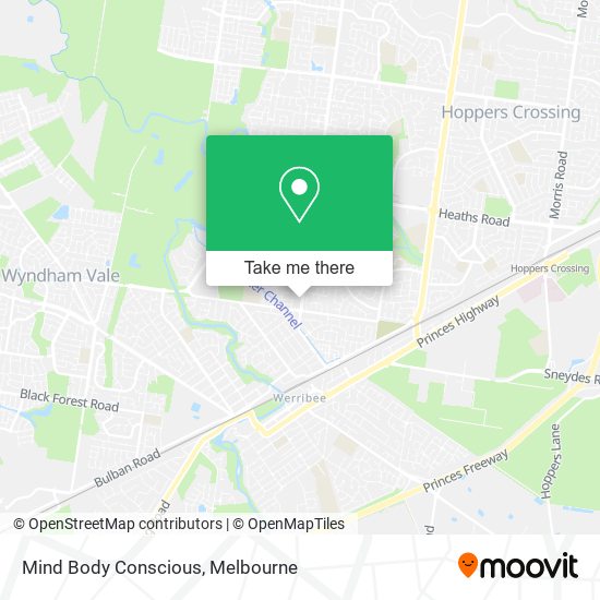 Mind Body Conscious map