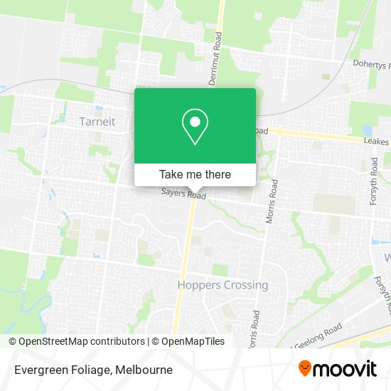 Evergreen Foliage map