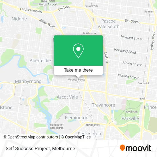 Mapa Self Success Project