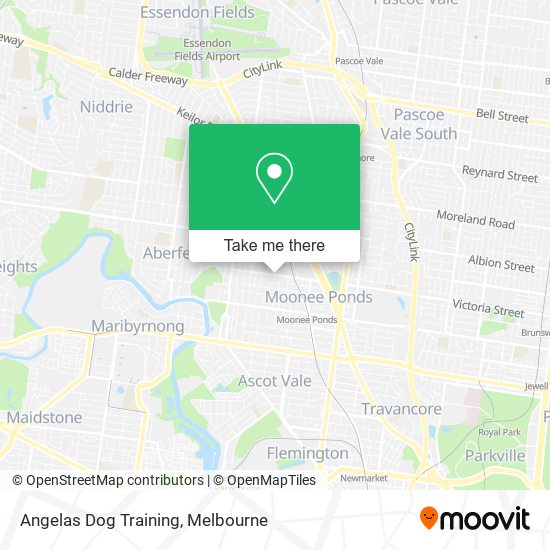 Angelas Dog Training map