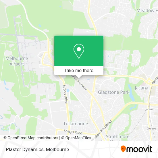 Mapa Plaster Dynamics