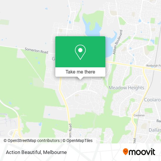 Action Beautiful map
