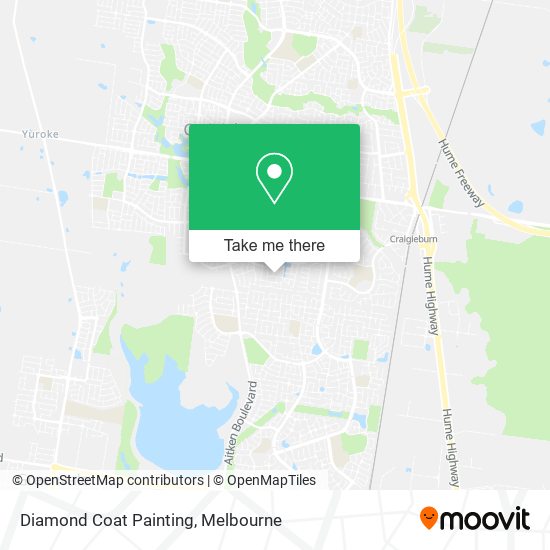 Diamond Coat Painting map