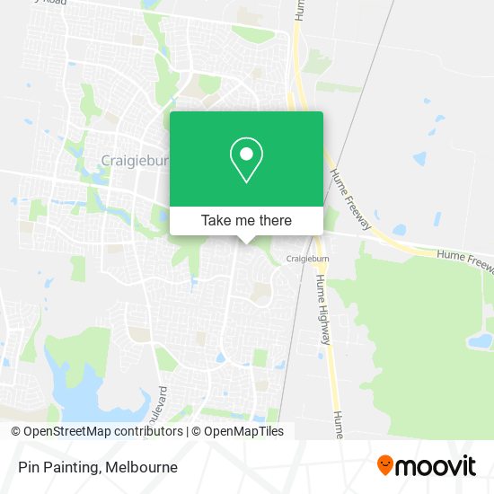 Pin Painting map