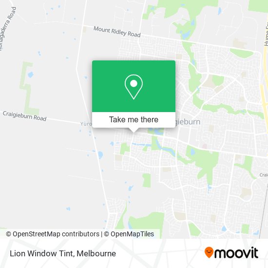 Lion Window Tint map
