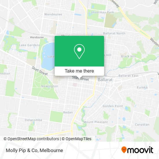 Molly Pip & Co map