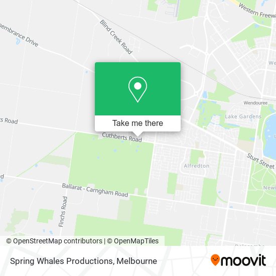 Spring Whales Productions map